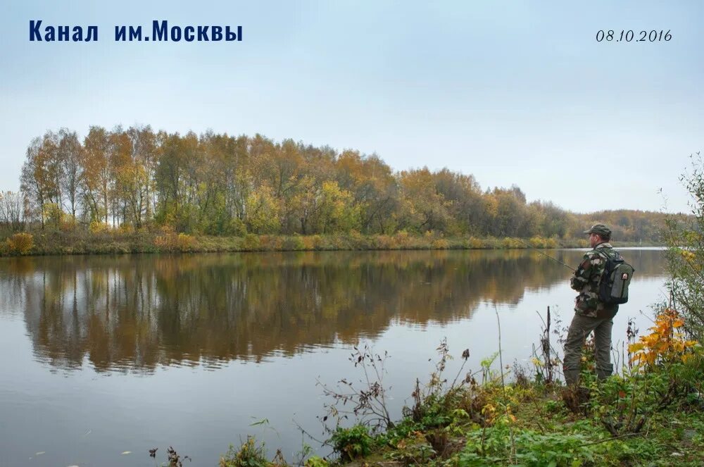 Канал имени москвы рыбалка. Рыбалка на канале имени Москвы места. Канал имени Москвы спиннинг. Рыбалка на канале имени Москвы в районе Химок.