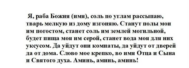 Молитва от ругани очистка дома. Заговор молитва от тараканов. Заговор от тараканов в квартире. Заклинание от тараканов в квартире. Заговор от клопов.