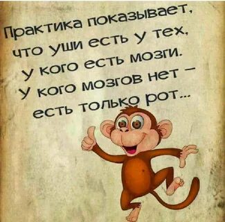 Цитаты со смыслом настроение
