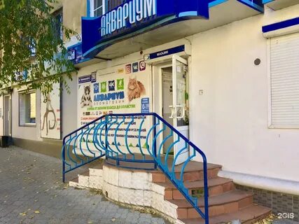 Чайковского чита