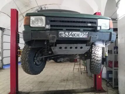 Terrafirma