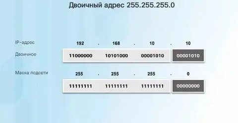 11001 в двоичной системе в десятичную