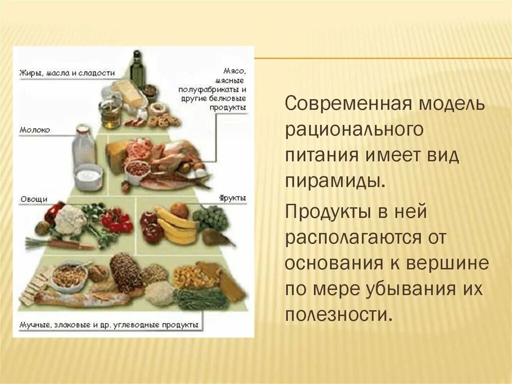 Что такое рациональное питание питание распределенное. Основы рационального питания. виды рационального питания. рациональное питание школьника. рациональное питание современного человека.