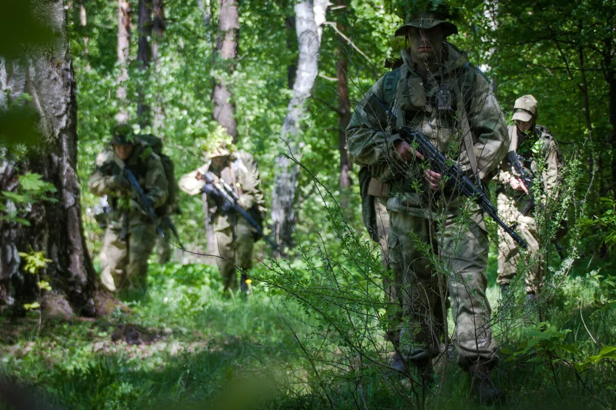 Разведывательный дозор. Тактическая разведка. Соревнования разведгрупп спецназа гру. Развед группа. Военные в лесу.