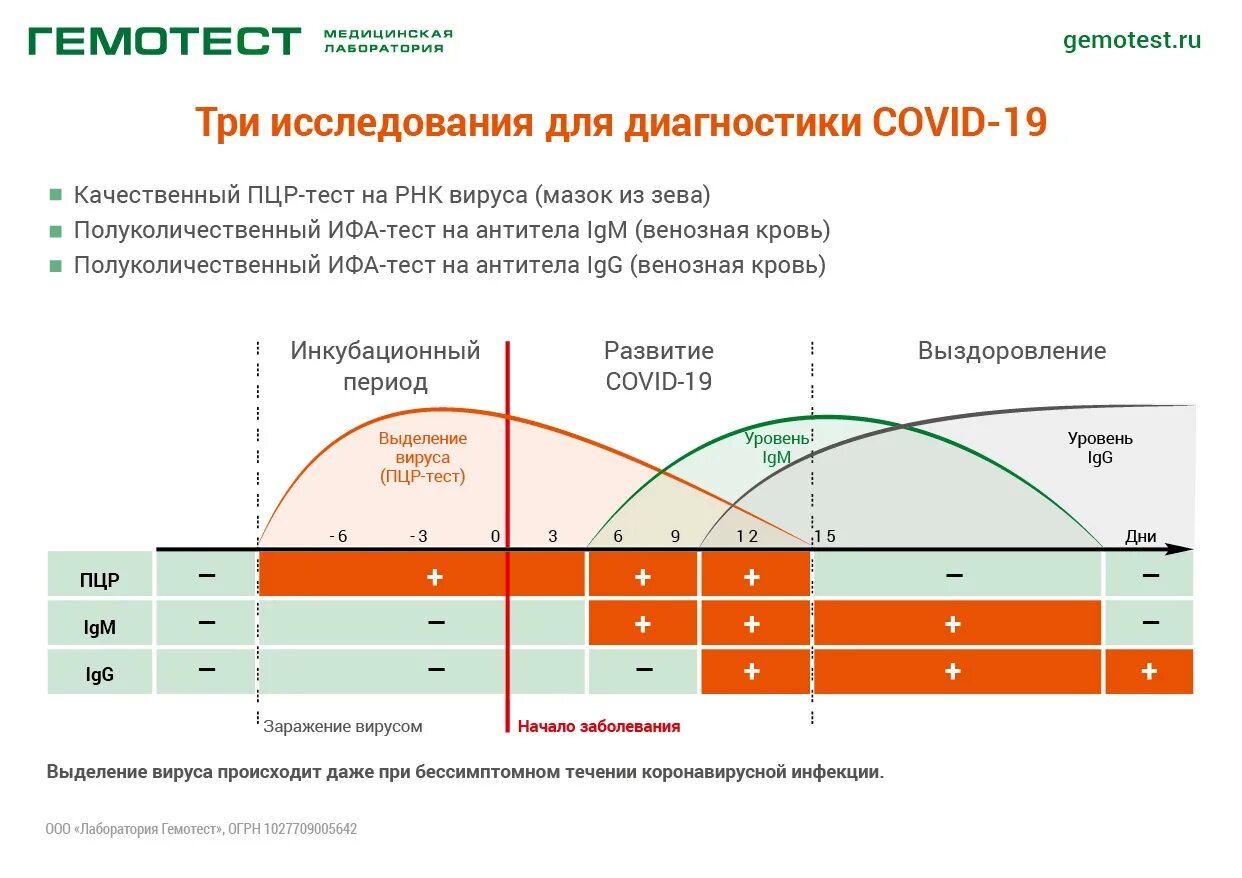 Коронавирус от скольких дней. Антитела к коронавирусу график. График антител при коронавирусе. Антитела к коронавирусу IGM И IGG. Интерпретация результатов на антитела.