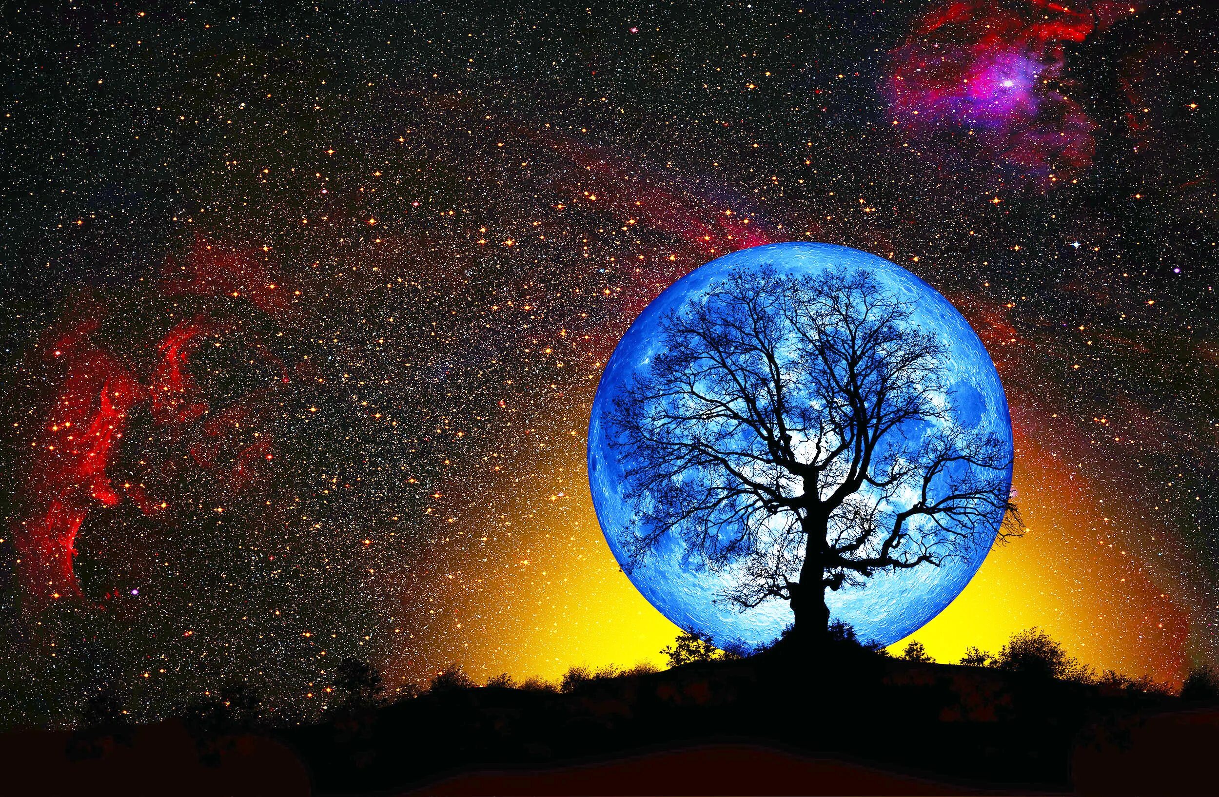 Photographer takes 'clearest ever' photo of moon by combining phases into one im