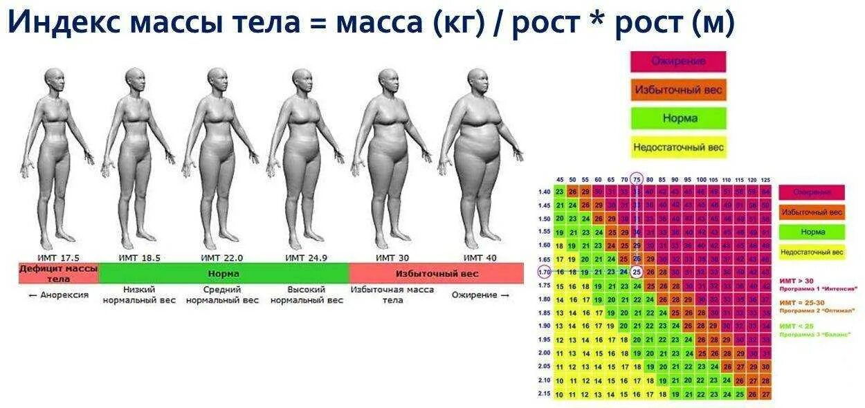 Имт таблица для мужчин по возрасту Имт для мужчин по росту Таблица определения индекса массы тела