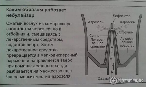 Как пользоваться компрессионным ингалятором