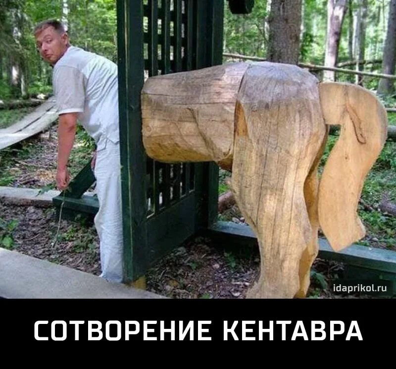 Как не быть бревном