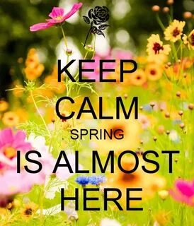 Spring has begun