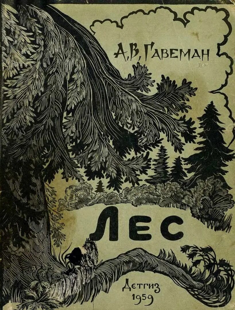 Беседы о лесе. Отец-лес книга. Лесная книга дизайн. Беседа с детьми о лесе. История черного леса книга.