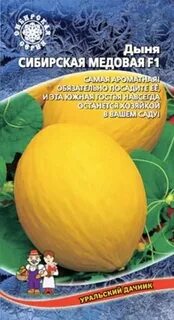 Дыня сибирская медовая