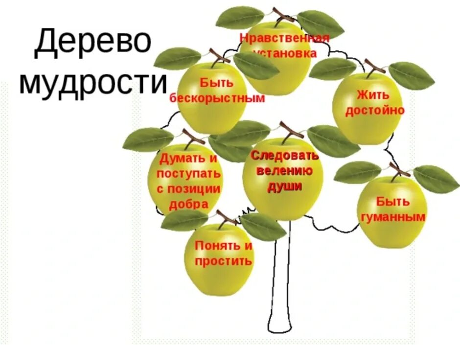 Уметь понять и простить конспект. Мудро дерево. Дерево мудрости. Дерево мудрости и плоды нравственных достижений. Нравственные достижения дерево мудрости.