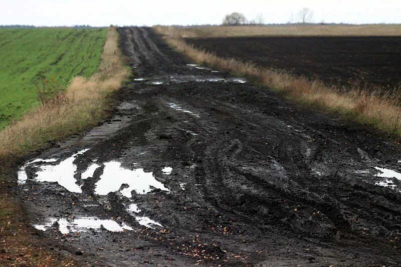Проселочная грунтовая дорога. Грунтовая дорога в деревне. После дождя грунтовая дорога становится скользкой. Деревенская дорога. Грязная дорога в лесу.