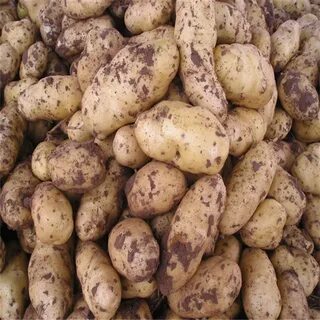 Китайская картошка
