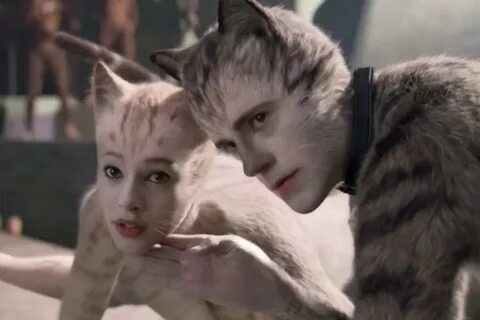 Alex and dino are my cats