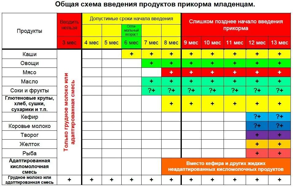 Со скольки месяцев давать ребенку рыбу. Схема введения прикорма воз по месяцам. Схема введения прикорма воз 2021. Таблица введения прикорма по воз. Схема прикорма воз 2022.