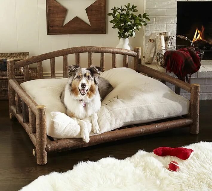 Bedroom dog. Кровать для собаки. Кровать для крупных собак. Маленькая собака на кровати. Большая собака на кровати.