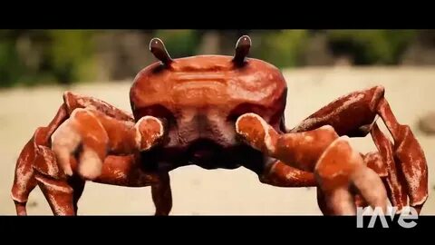 Мы танцуем крабика видео