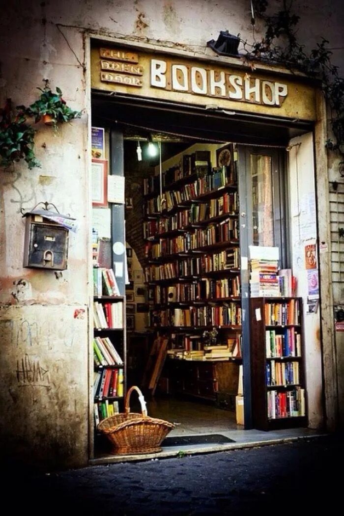 Книга my shop. Старая книжная Лавка. Старинный книжный магазинчик. Красивые витрины книжного магазина. Антикварный книжный магазин.