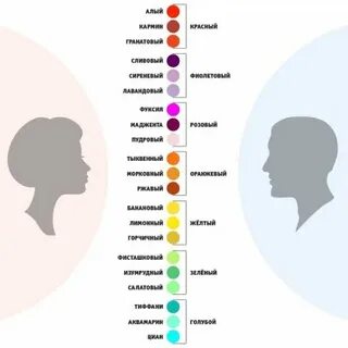 Сколько различает оттенков человек