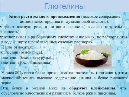Растительным белком является