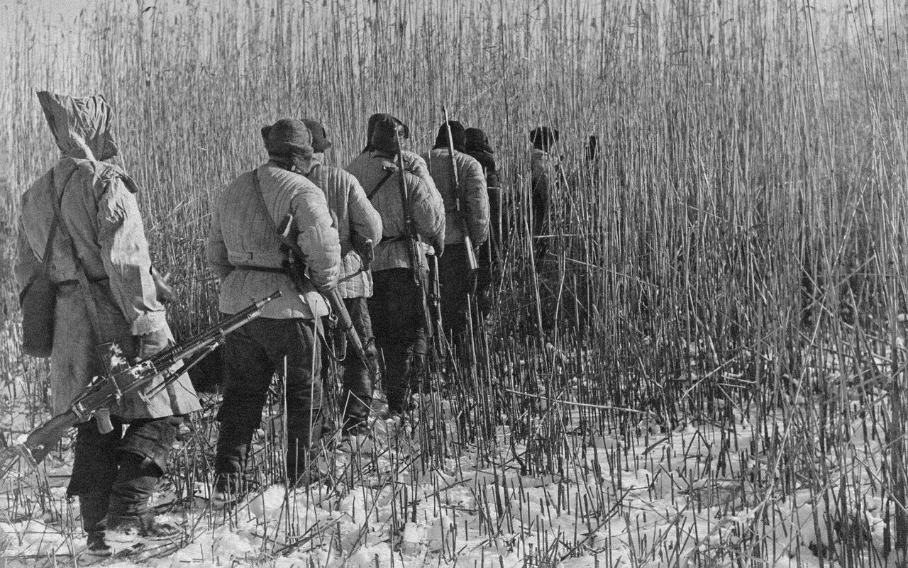 Партизаны в строю. Партизанское движение 1941-1945. Партизанские отряды 1941-1945. Партизанские отряды в тылу врага.