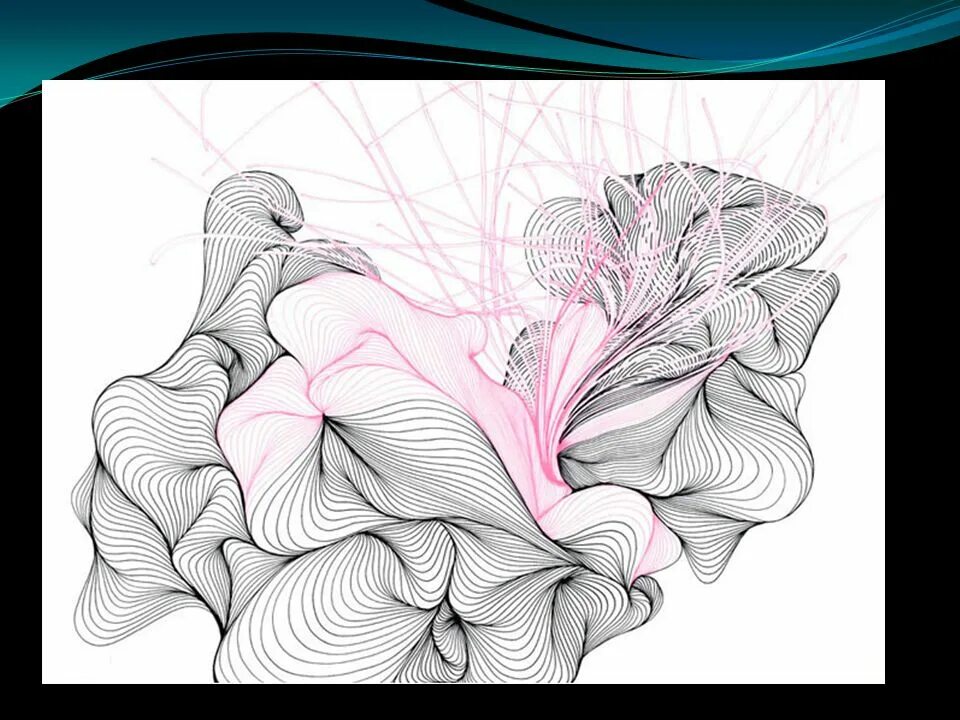 Графические иллюстрации. Графические линии. Абстрактная композиция из линий. Красивые графические рисунки.