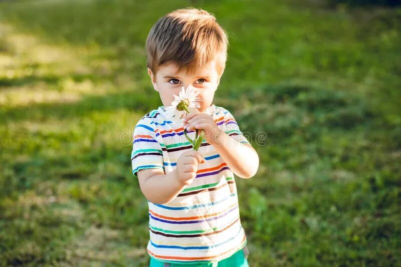 Мальчиков вонючих мальчиков. Boy smelling Flower. Лео пахнет у мальчиков фото что э.