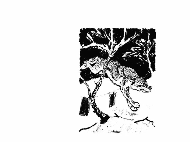Кладовая солнца читательский дневник 3 класс. Черты сказки и были в кладовой солнца. М. Кладовая солнца. Пришвин м.