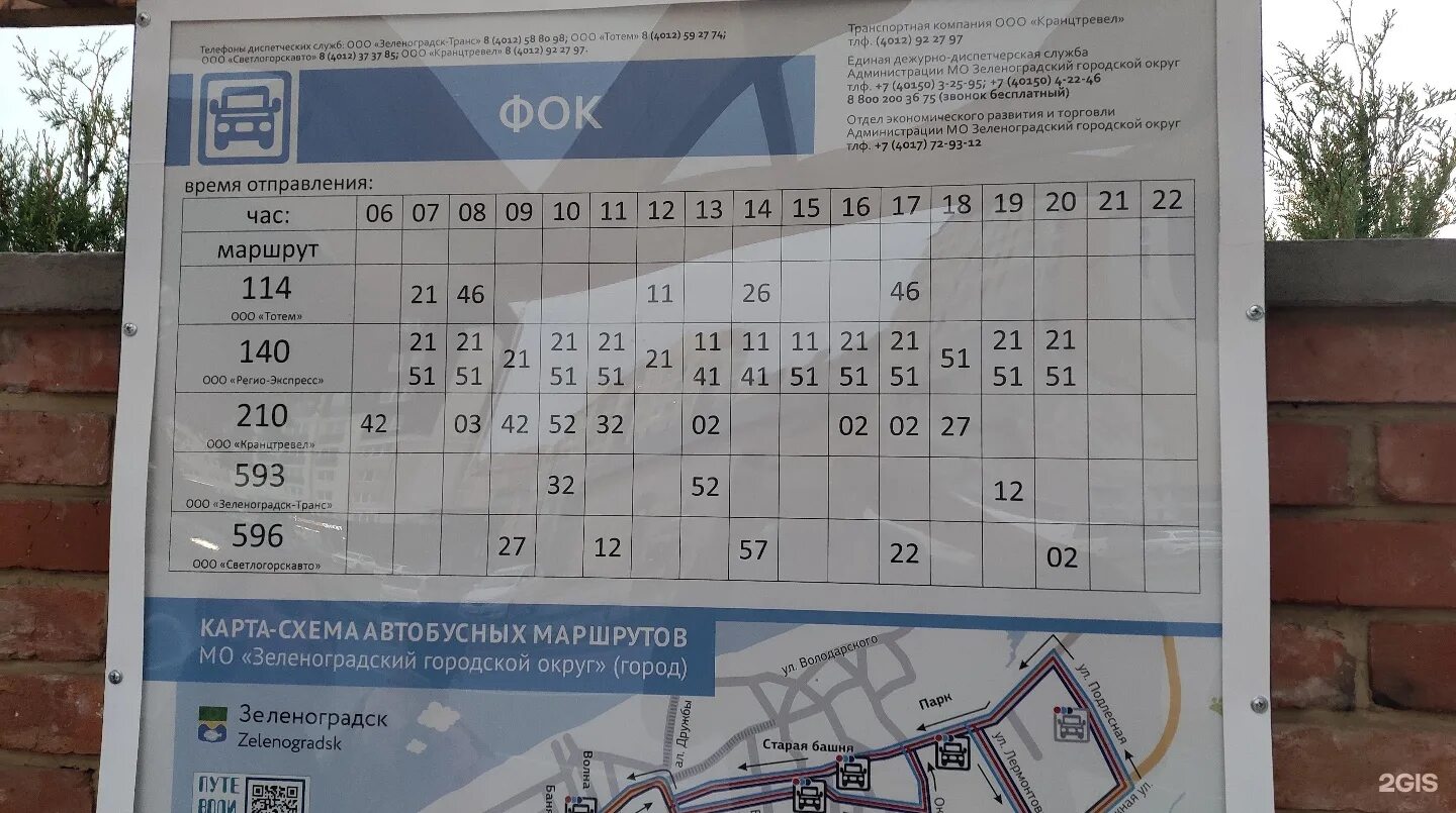 Автобус 210 зеленоградск куршская. Автобус 596 Светлогорск Зеленоградск. Маршрут Зеленоградск Морское. Автобус 210 Зеленоградск. Автобус Светлогорск Зеленоградск.