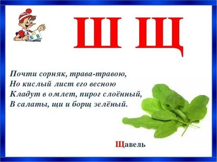 Слова последняя буква щ