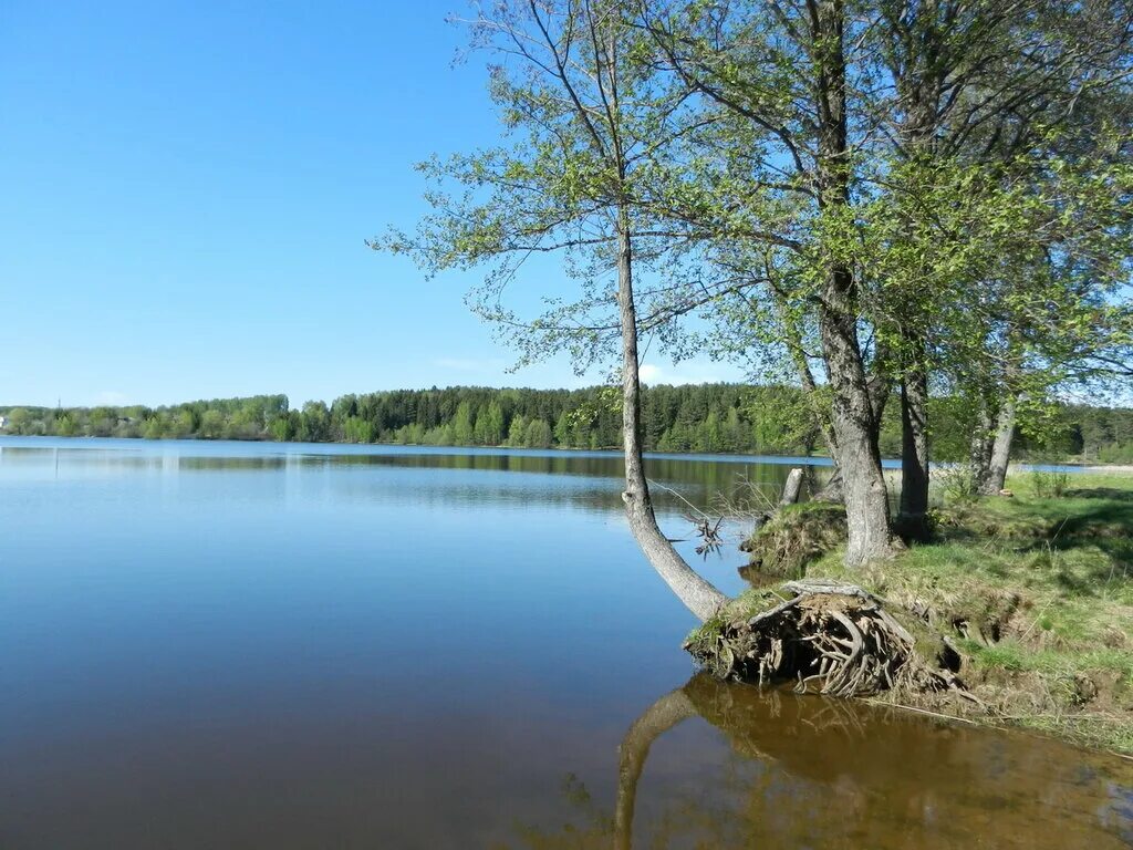 Посёлок Чкаловская Ривьера. Деревня Ступино Чкаловского района Нижегородской области. П чистое Чкаловский район Нижегородская область. Природа Чкаловского района. Деревни чкаловской области