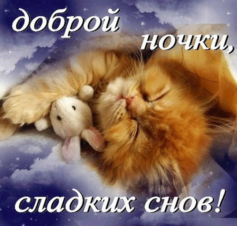 Хороших снов милый. Доброй ночи сладких снов. спокойной ночислалких снов. спокойнойночкисладкихснов. спокой ночи сладких снов.