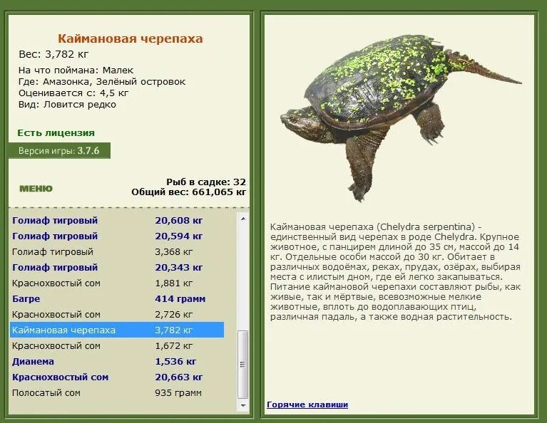 Синяя морская черепаха. Кожистая морская черепаха. Сколько весят морских черепах. Каймановая черепаха вес. Самая большая кожистая черепаха.