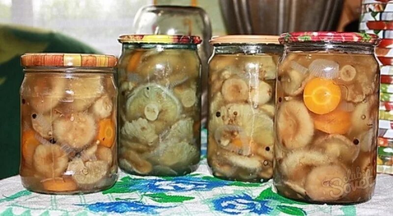 Когда можно солить на зиму