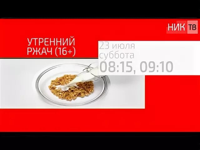 Ник тв программа
