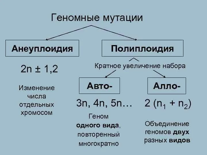 Изменение количества хромосом мутация. Геномные изменения: полиплоидия, анеуплоидия.. Геномные мутации полиплоидия и анеуплоидия. Геномные мутации схема. Типы геномных мутаций.