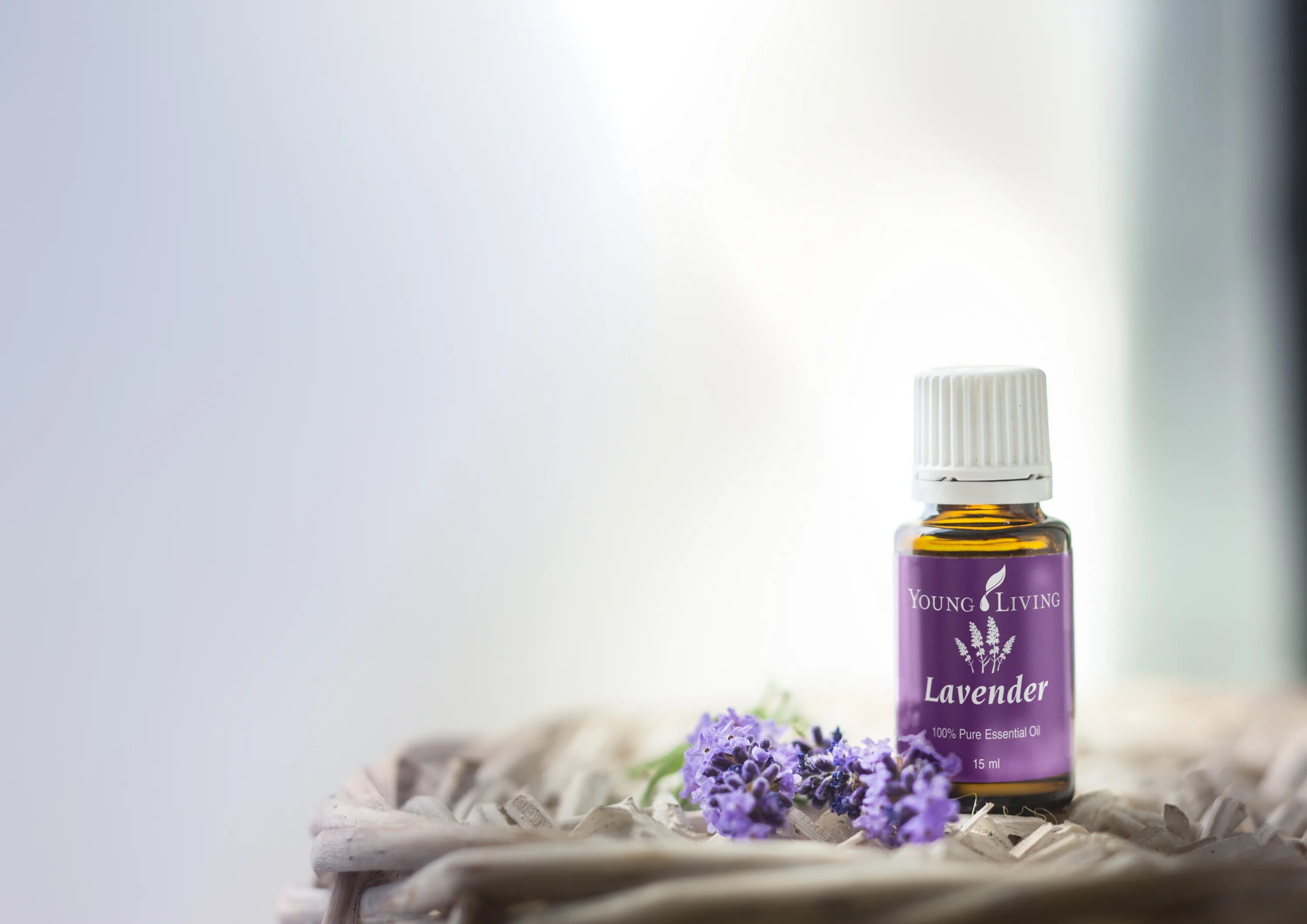 Фо ливинг. Соло ливинг. Термос сантай ливинг. Соло ливинг. Young living эфирные масла стартовый набор.