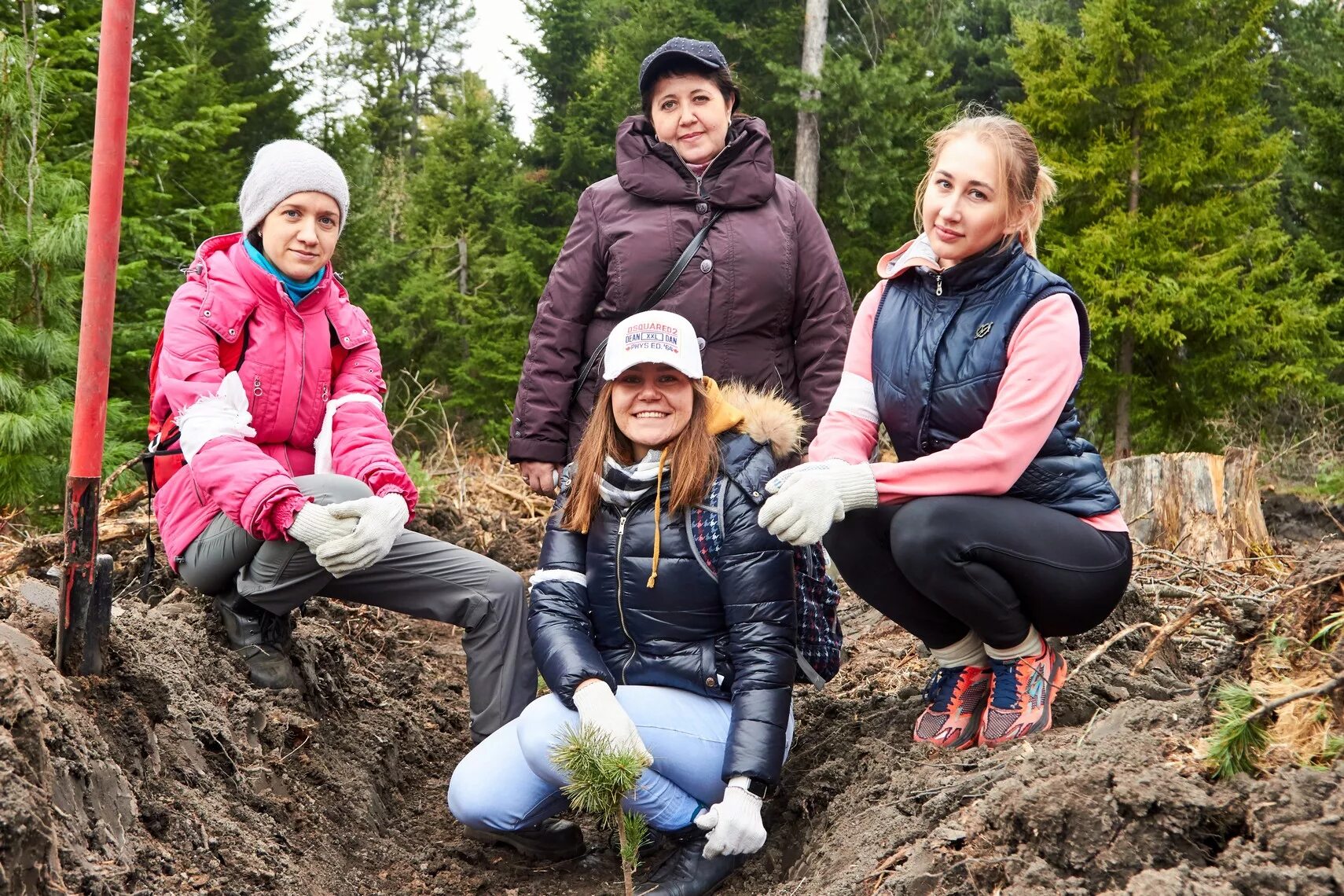 Департамент леса Томской области. Томск день посадки леса. Лесхоз Баймак. ОГАУ Томсклесхоз.