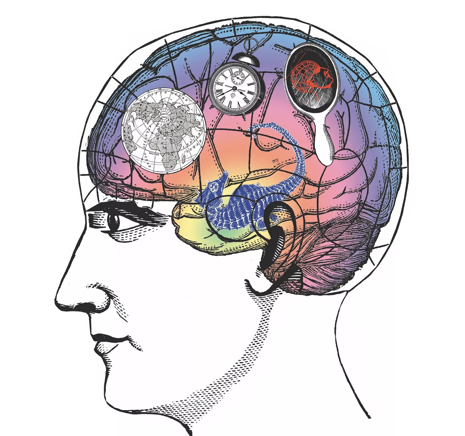 Основы работы мозга. Мозг память. Головной мозг мышление. Мозг рисунок.