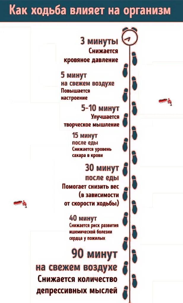 Как ходьба влияет на организм. Влияние ходьбы на организм человека. ходьба влияние на организм. как ходьба влияет на организм человека. влияние ходьбы на тело.