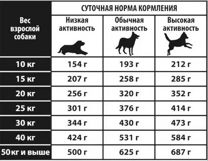 Когда давать щенку можно сухой
