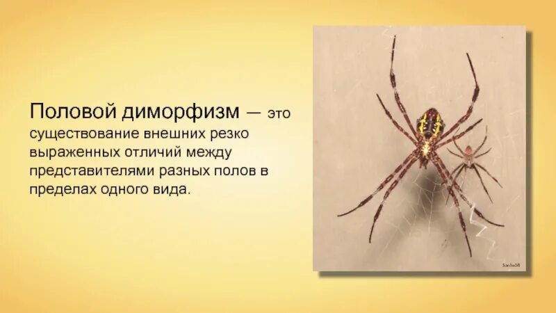Какие представители выразили
