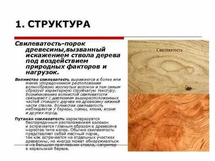 Доклад про древесину