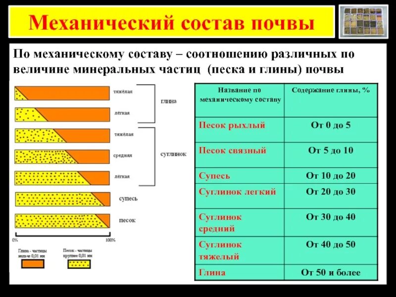 Какая почва по механическому составу содержит. Механический состав почв - % соотношение песка и глины. механический состав почвы. почвы по механическому составу. типы почв по механическому составу.