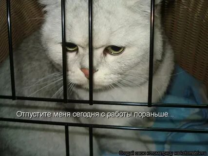Отпустите пораньше с работы