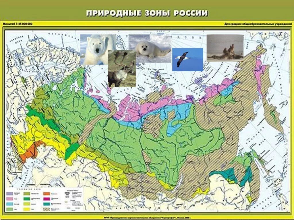 Природно хозяйственные зоны россии задания