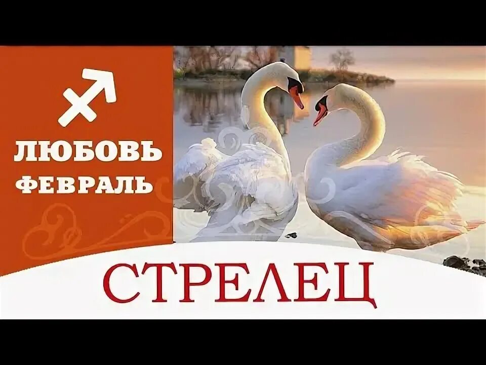Прогноз любви стрелец. Прогноз любви стрелец