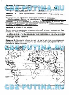 Среди приведенных утверждений подчеркните